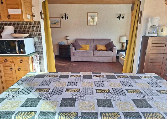 T2 Agreable Avec Cheminee, Balcon Et Parking Aux Gets - Fr-1-573-145